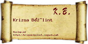 Krizsa Bálint névjegykártya